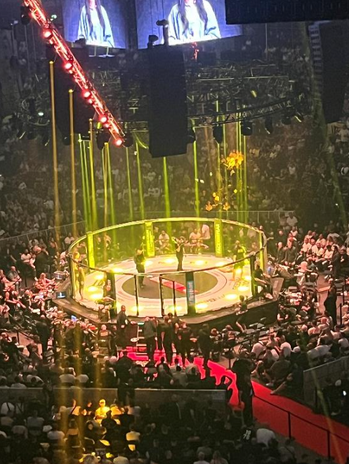 Carnage Cageside 1: The&nbsp;Beginning